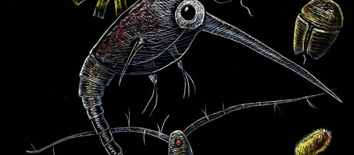 colored artsci cover