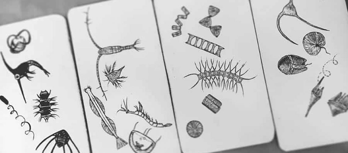 final art in progress all