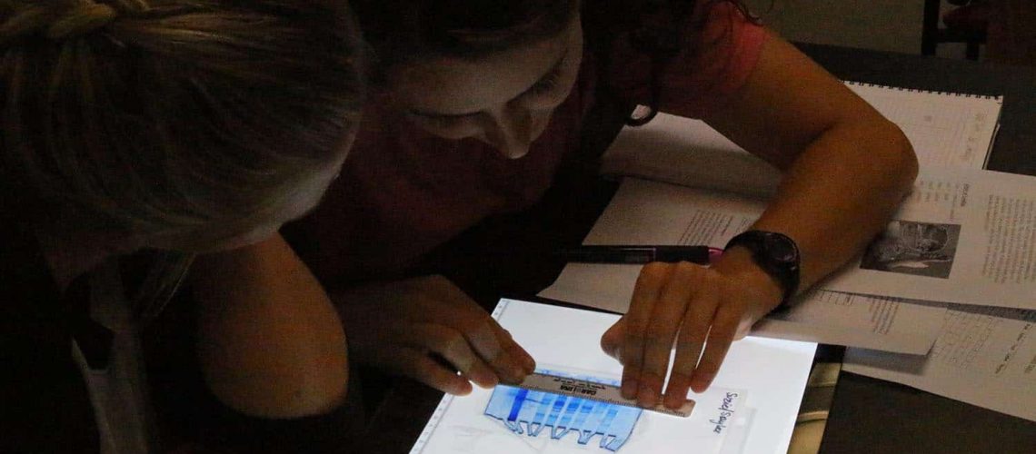 Analyzing the fish protein on portable light tables.