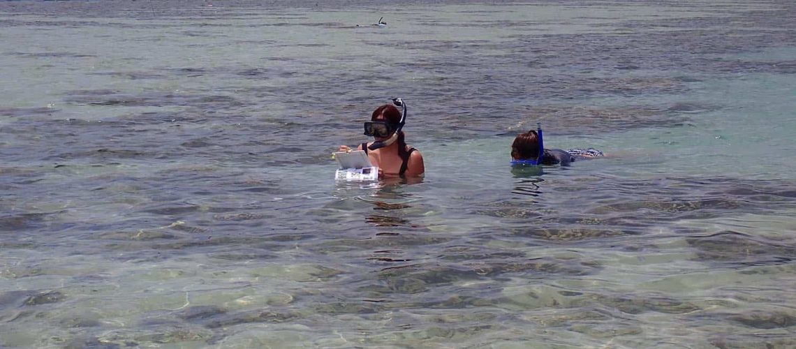 Learning how to do transects and collect data underwater.